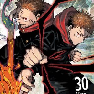 Jujutsu Kaisen Variant Cover Manga Volume 30 -